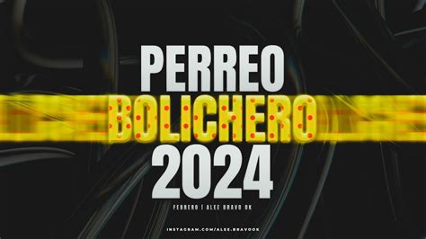 MIX PERREO BOLICHERO 2024 VERANO 2024 Enganchado Fiestero Alee