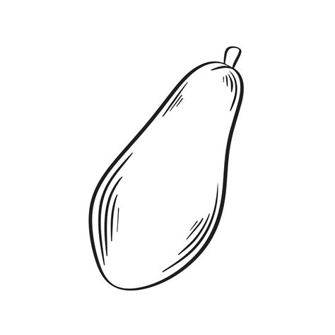 Papaya simple outline ink sketch 15360430 Vector Art at Vecteezy