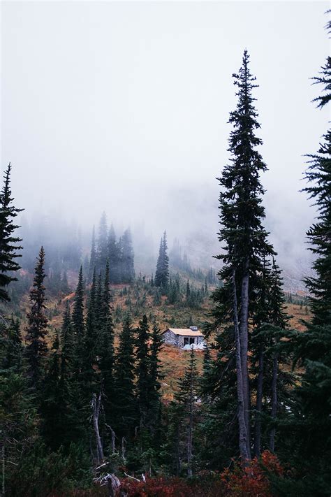 "Small Cabin In High Mountain Forest With Fog Rolling In Behind" by