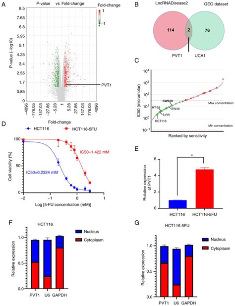 PVT1 Promotes Resistance To 5FU In Colon Cancer Via The MiR4865p