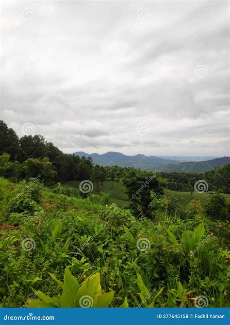 Mountain Side gardens stock photo. Image of locals, view - 277645158