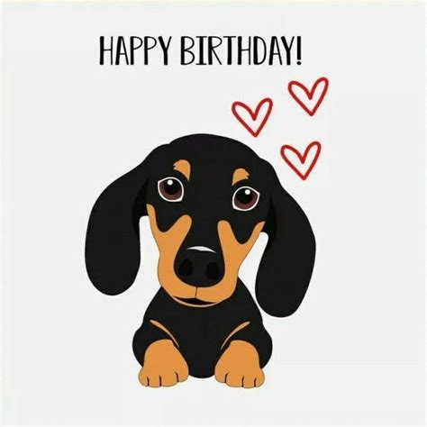 Pin By Linda Abele On Happy Birthday Dachshund In 2024 Dachshund Birthday Happy 75th Birthday