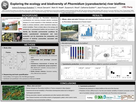 (PDF) Exploring the ecology and biodiversity of Phormidium (cyanobacteria) river biofilms