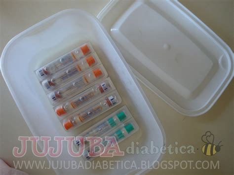 Jujuba Diabética Diabetes Tipo 1 e nossa família Organização os