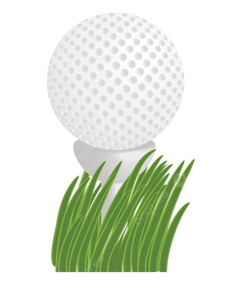 Golf Ball Vector