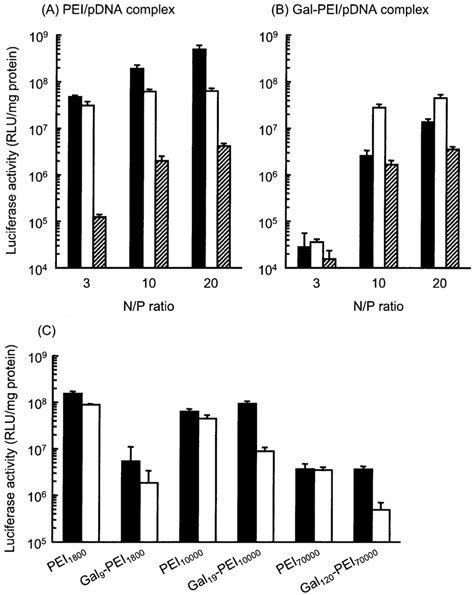 Transfection Efficiency Of Pei Pdna Complex In Hepg Cells The