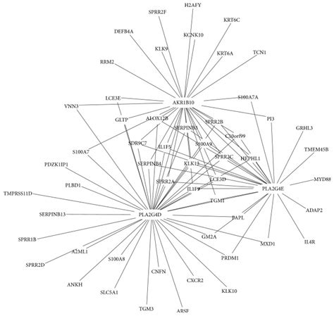 Combined Transcriptomic Analysis Revealed AKR1B10 Played An Important