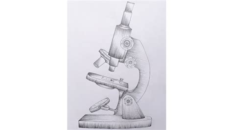 How To Draw Microscope For Biology Practical Biology 12 Basic