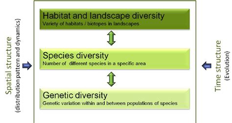 Levels Of Biological Diversity Adapted From Blab Et Al 1995 Download Scientific Diagram