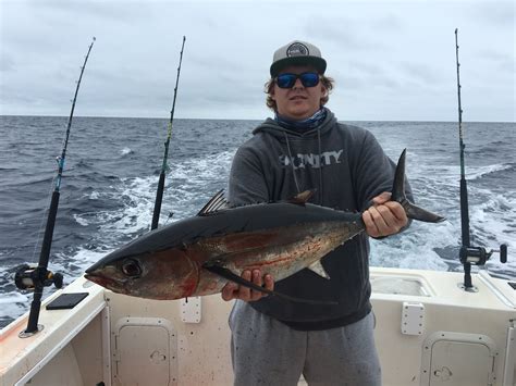 Albacore season is here! | Coastline Charters