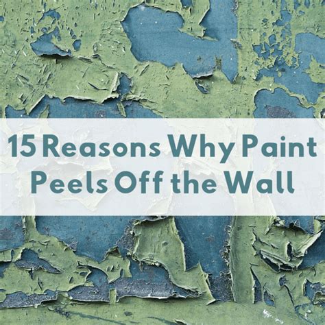 15 Causes Of Peeling Paint Off Walls And Ceilings Dengarden