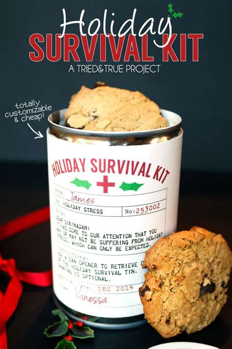 Holiday Survival Kit The Perfect Easy And Inexpensive T Can Be