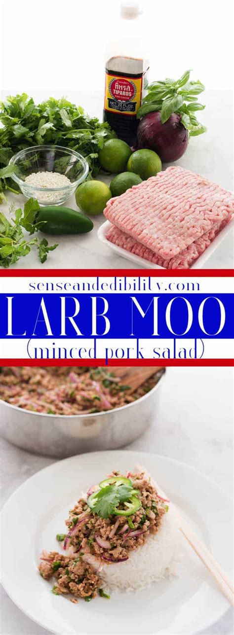 Larb Moo: Sour Minced Pork Salad - Sense & Edibility