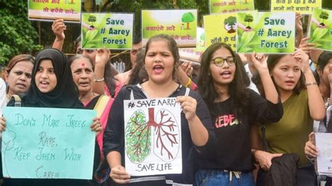 Aarey Protest Mumbai Court Grants Conditional Bail To All 29