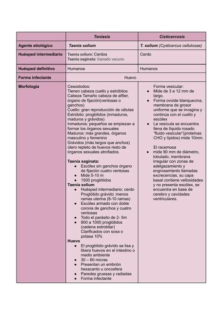 Parasitolog A Teniasis Cisticercosis Ross Udocz