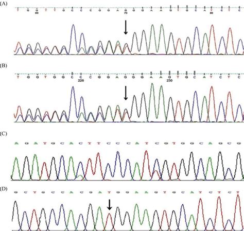 The Flow Chart Of Mutations Screen Snp Single Nucleotide Download Scientific Diagram