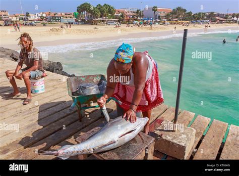 Local Woman Gutting A Freshly Caught Tuna On The Pier At Santa Maria