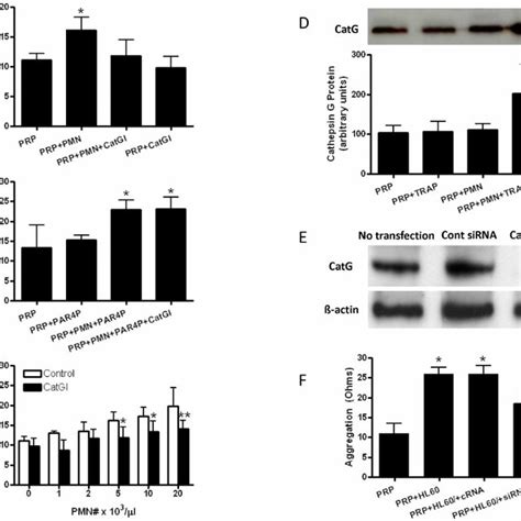 Cathepsin G Promotes Platelet Thrombus Formation In Mesenteric