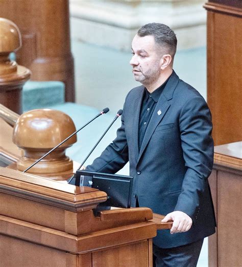 Ovidiu Puiu Senator Psd Arge Tranzi Ie Just Nseamn Trecere La