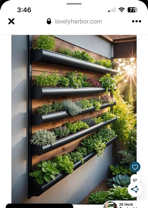 Pin By Patricia On Casa Nova In Vertical Garden Diy Backyard