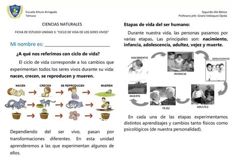 Resumen Unidad Ciclo De Vida De Los Seres Vivos Profe Social