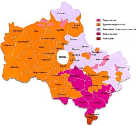 Какие почвы распространены в московской области? Какие из них наиболее ...