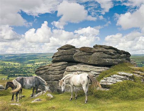 Horses in Dartmoor National Park, 2000 Pieces, Ravensburger | Puzzle ...