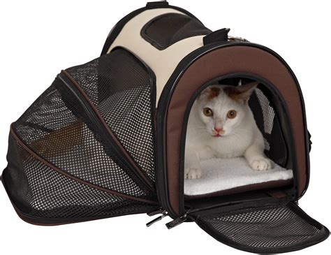 Petsfit Pet Carrier Expandable Foldable Cat Carrierscat Carry Case