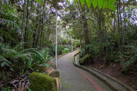 Jardim Botânico de São José uma opção de lazer as crianças em meio