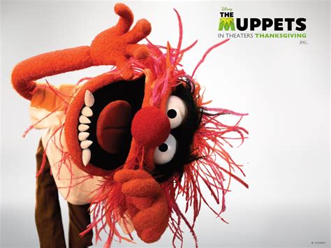 🔥 [40+] Muppets Desktop Wallpapers | WallpaperSafari