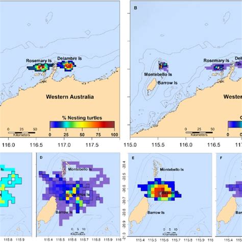 Inter Nesting Distributions Of Hawksbill Turtles Satellite Tagged At