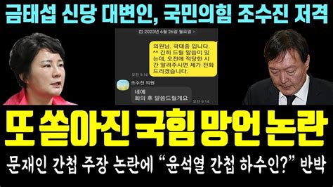 빵터진 윤석열 총선 망상 또 쏟아진 국힘 망언 논란 문재인 간첩 주장 논란에 윤석열은 간첩 하수인 반박 금태섭 신당