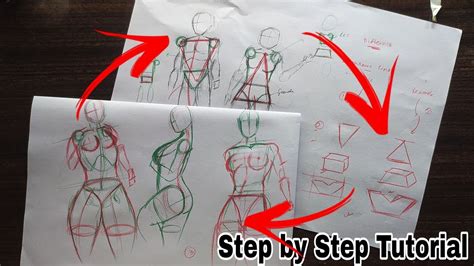 Learn To Draw Female Anatomy Female Anatomy Drawing Tutorial For Beginners Draw Female Torso