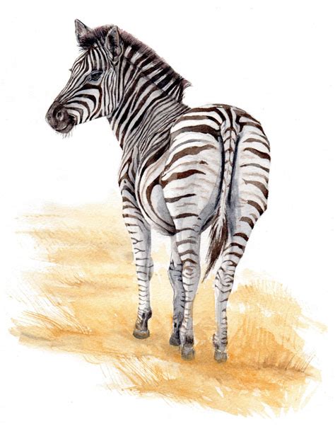 Zebra Original Watercolor Painting 85x11 Nursery