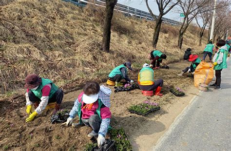 유천면새마을부녀회 꽃길 조성 및 플로깅 활동 예천e희망뉴스