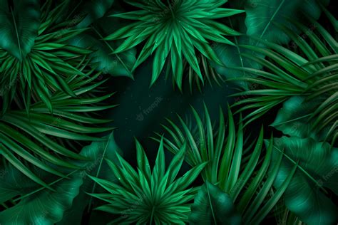 Palm Branches Background