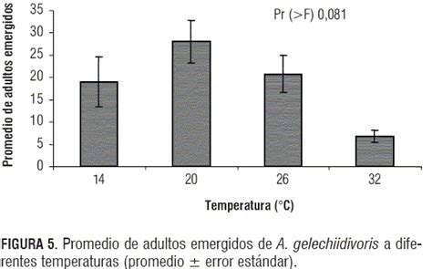 Biología Y Ciclo Reproductivo De Apanteles Gelechiidivoris Hymenoptera Braconidae