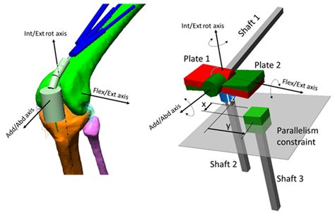 Applied Sciences Free Full Text Loads On The Knee Joint Ligaments