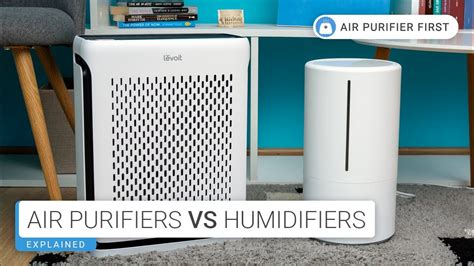 Air Purifiers Vs Humidifiers Whats Best For You YouTube