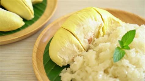 Durian Stock Video Footage for Free Download