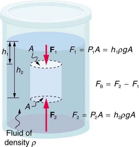 Archimedes' Principle | Physics | | Course Hero