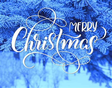 Snow Covered Pine Tree Branches Close Up With Text Merry Christmas