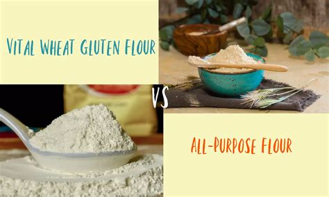 Vital Wheat Gluten Flour Vs All Purpose Flour Everything You Need To