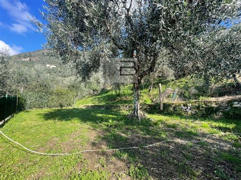 Casa Di Paese In Vendita In Via Del Grillo S N C Camaiore Idealista