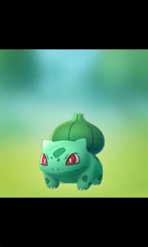 Bulbasuar Wiki Pokemon Go Amino