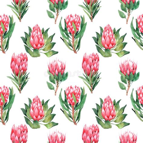 Watercolor Seamless Pattern With Tropical Leaves And Houseplants Leaves