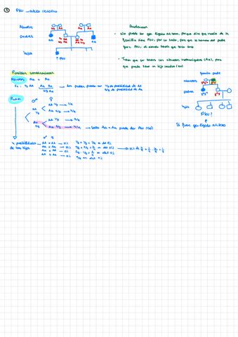 Problemas Genetica I Grupo Pdf