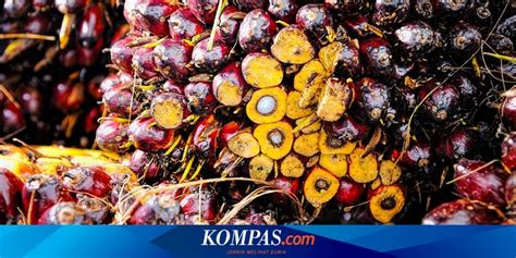 Apa Itu Komoditas Pengertian Tipe Dan Jenis Jenisnya