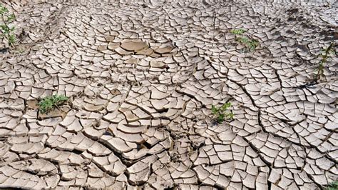 Riscos Naturais Ondas De Calor E De Frio E Secas RTP Ensina