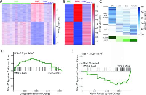 Heat Map Rna Seq Data